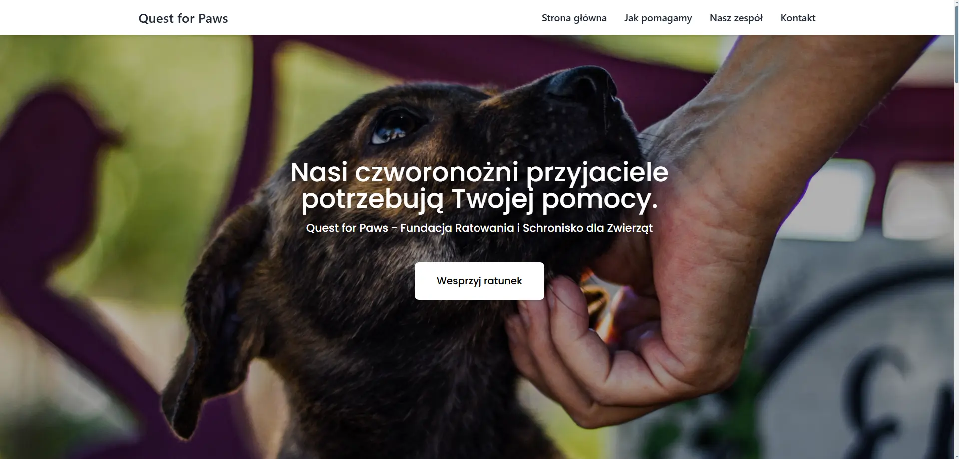 Quest for Paws
